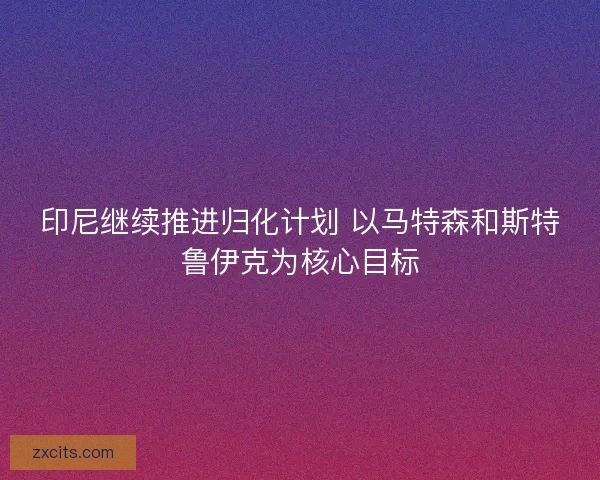 印尼继续推进归化计划 以马特森和斯特鲁伊克为核心目标