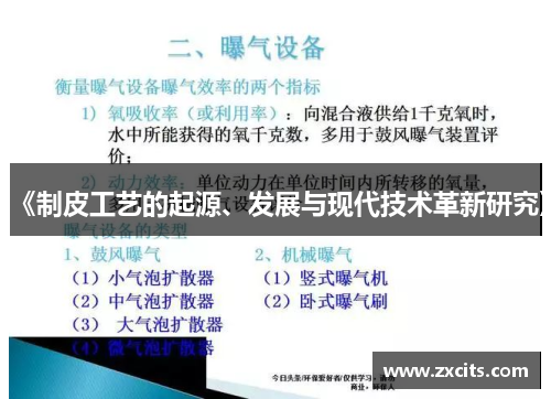 《制皮工艺的起源、发展与现代技术革新研究》